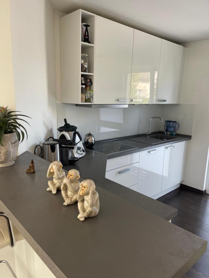Gemuetliche Villa Am Waldrand In טאונושטיין מראה חיצוני תמונה